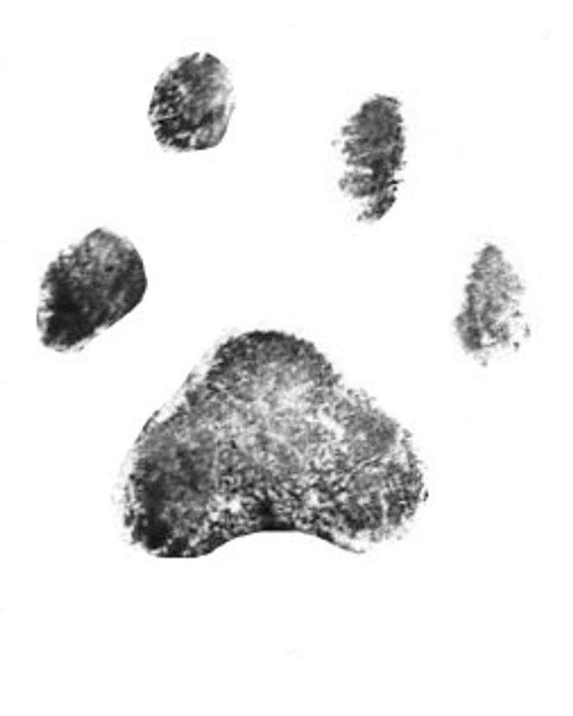 Twila Reed Profile Photo