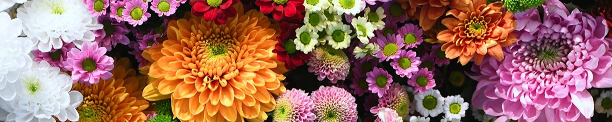 Cover photo for Marie Claire (Cazeau) Parent's Obituary