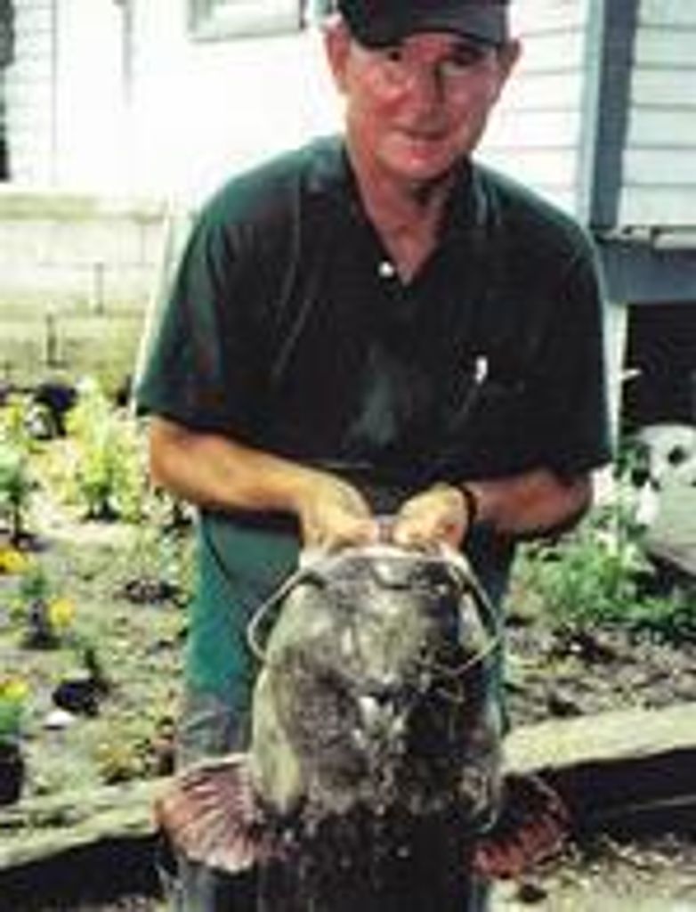 Garry Allen Nuckolls Profile Photo