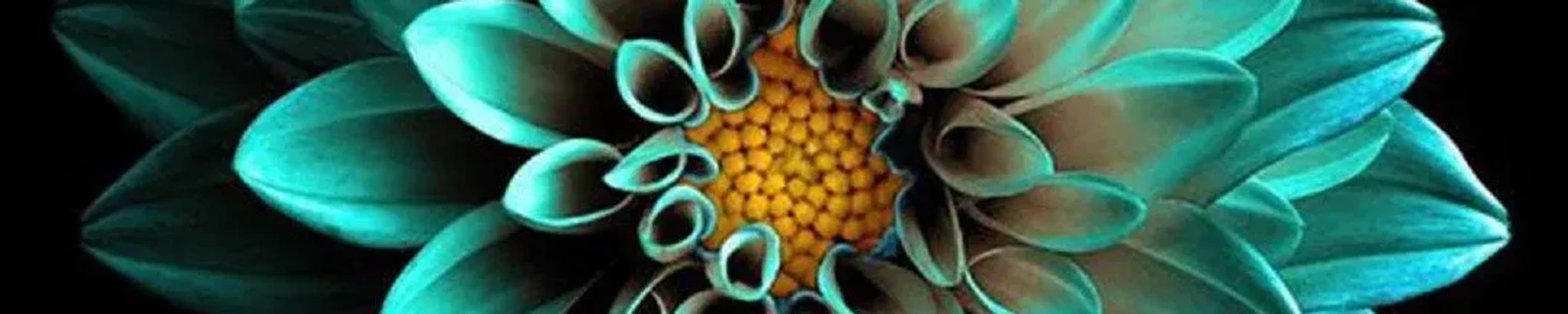 Cover for Misty Dawn Ragland's Obituary