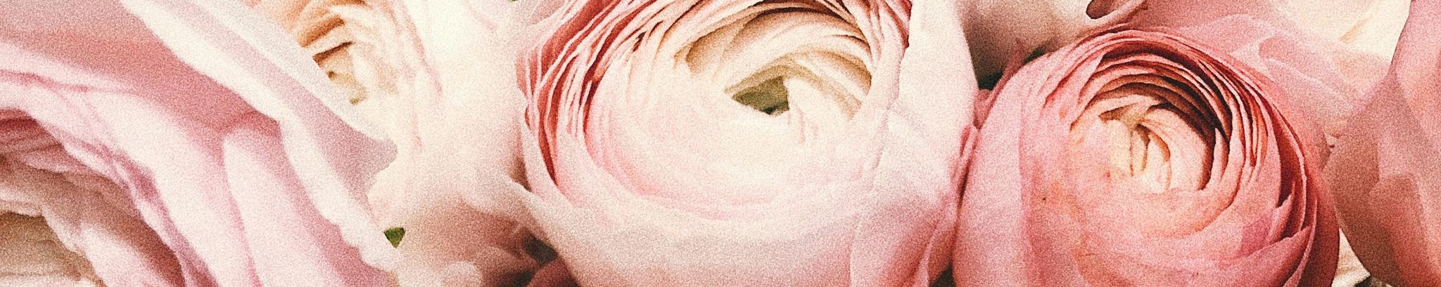 Cover photo for Mary Jane Jacobson's Obituary