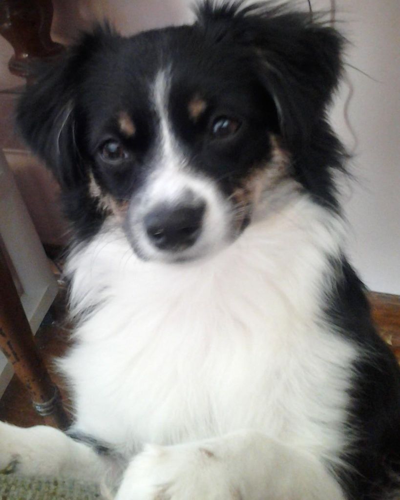Zoey Abdon