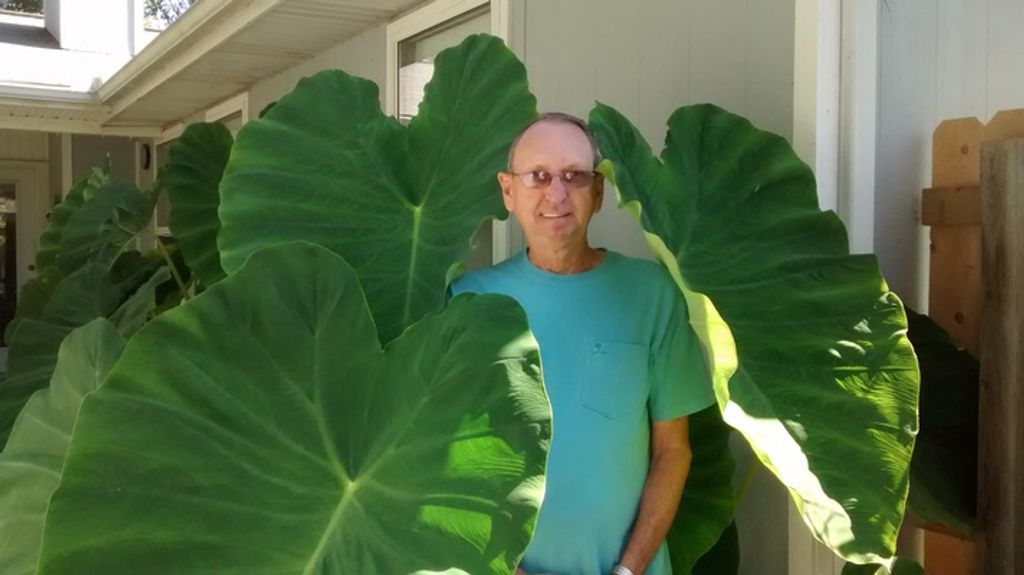 Jason Snider Profile Photo