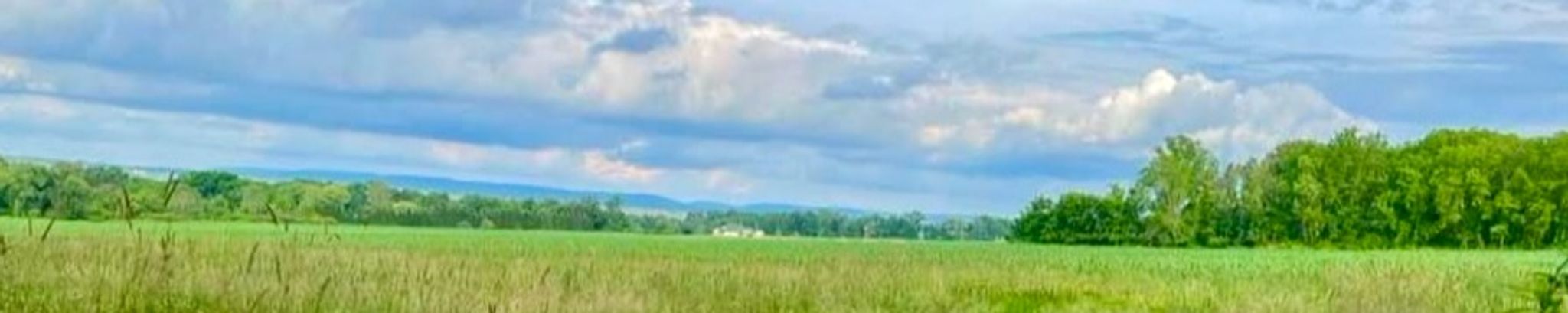 Cover for Albert H. Capista, Jr.'s Obituary