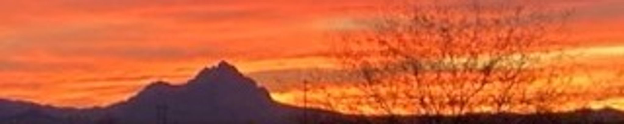 Cover for Richard Swartz's Obituary