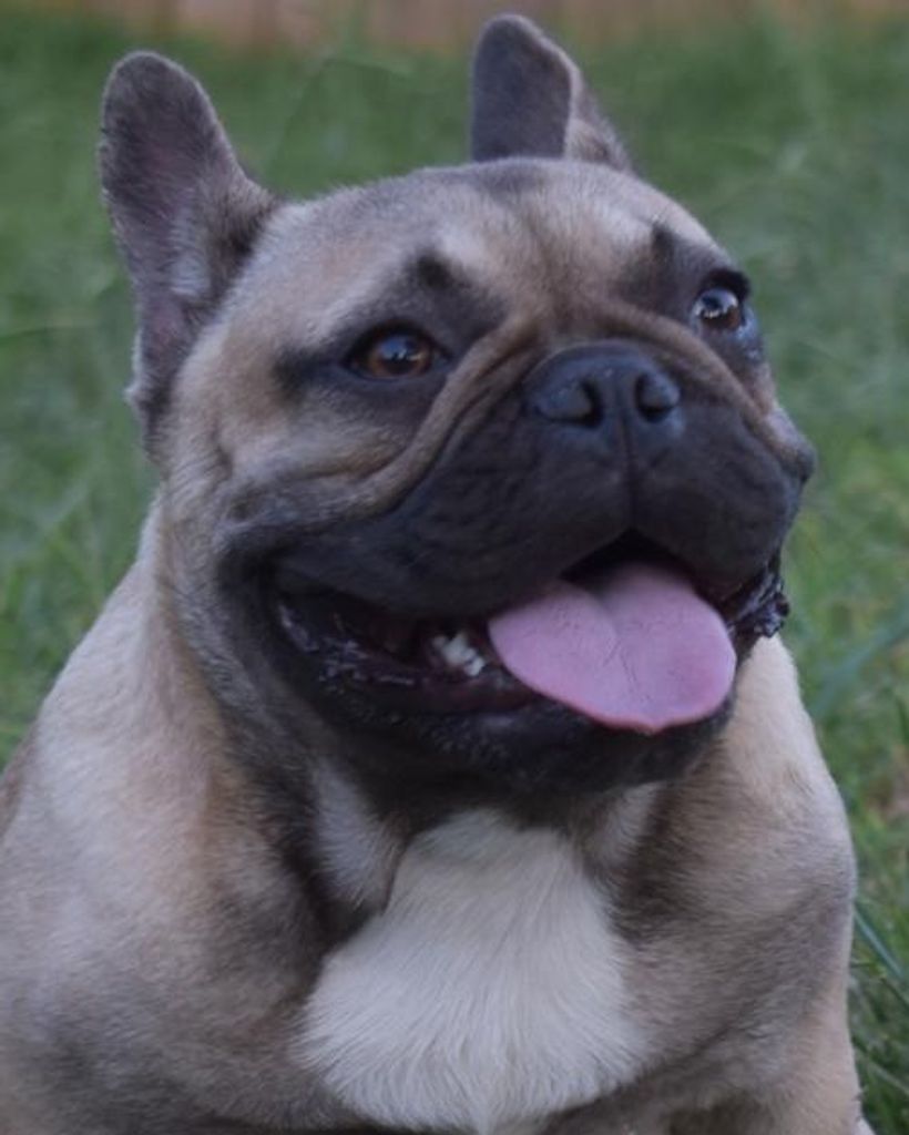 Beau Deese Profile Photo