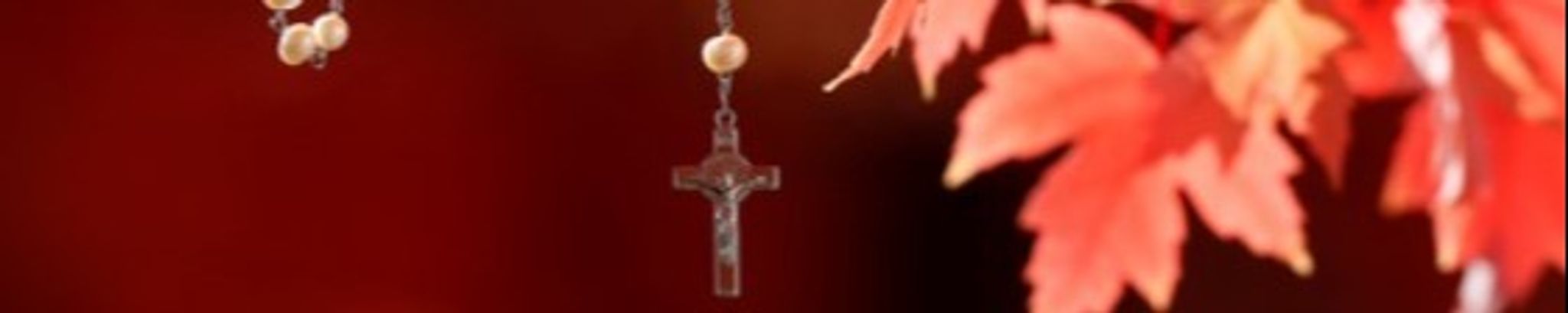 Cover for Tessa Dawn Ludwig's Obituary