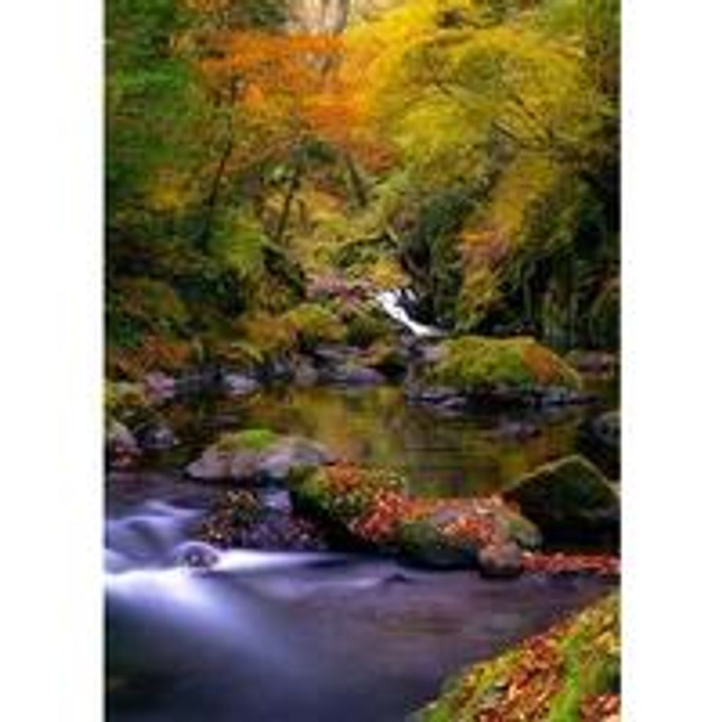 Mary Leann Shipe Athey Profile Photo