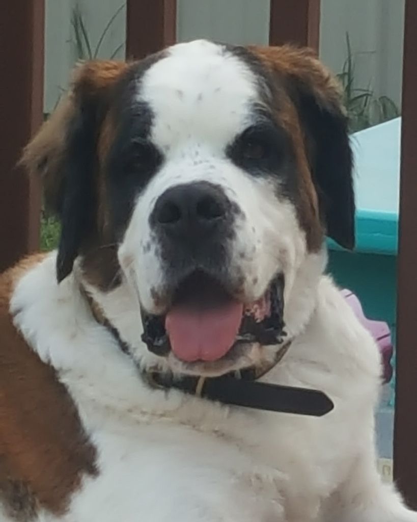 Mason Profile Photo