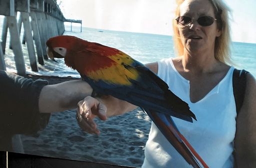 Susan M. (Bartels)  Murphy photo gallery thumbnail 31 of 284