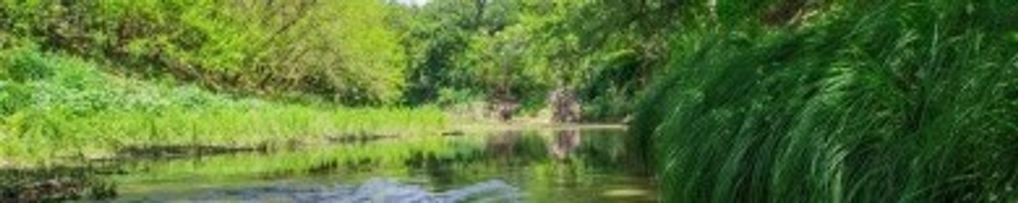 Cover photo for Cleddy Baize's Obituary
