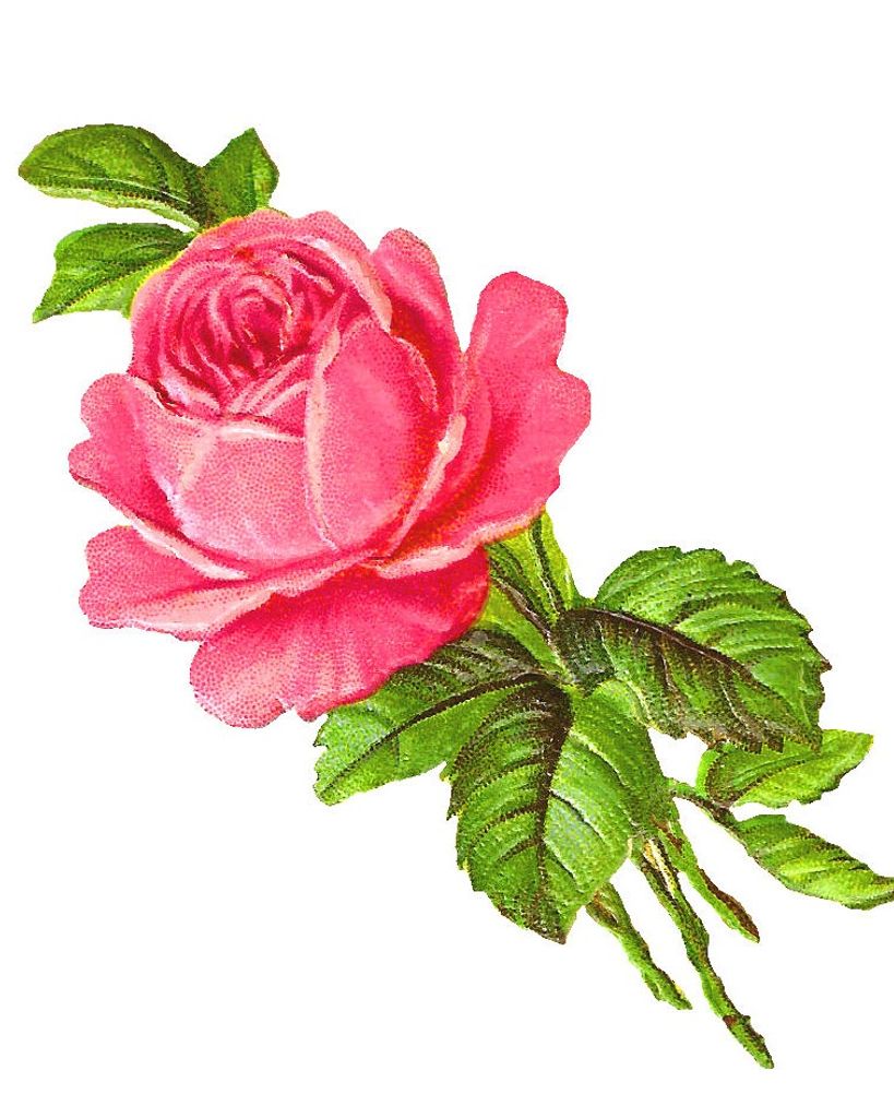 Helen Hancock Harvey Profile Photo