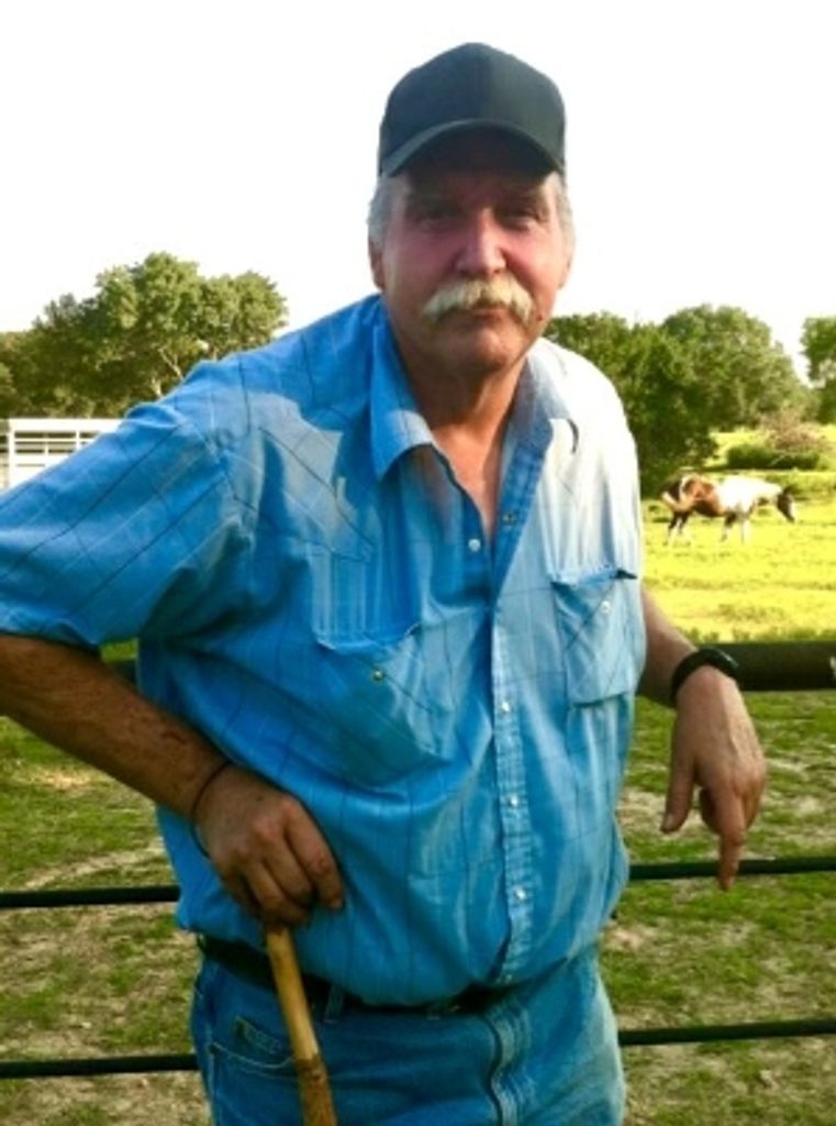 Thomas 'Tom' Martin Hinchey