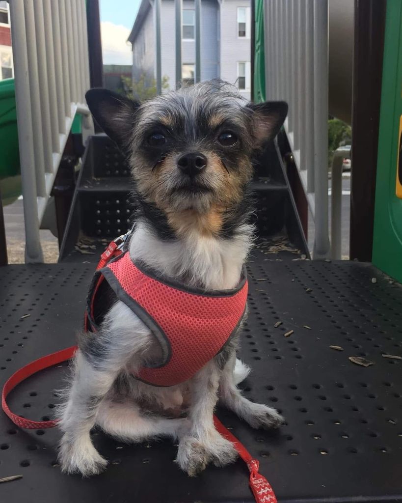 Paris Carbajal Profile Photo