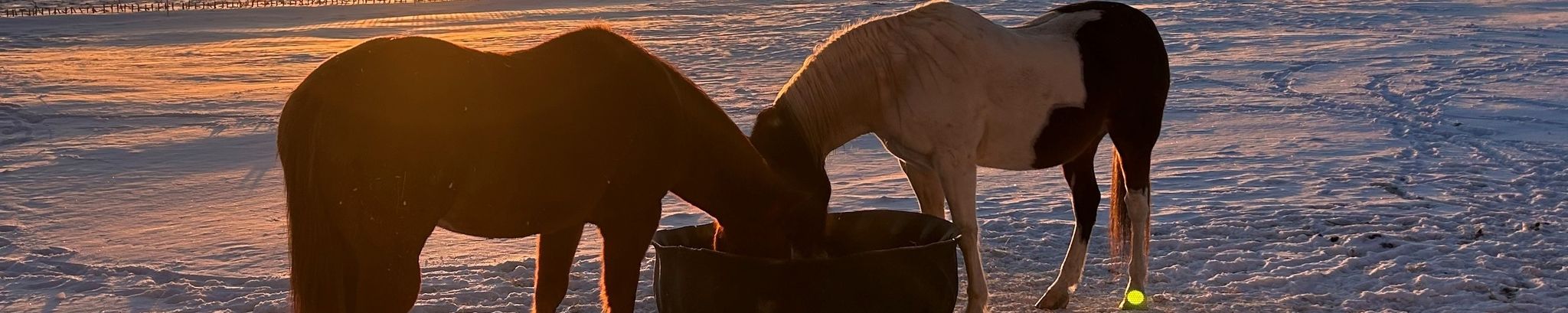 Cover for Carrie C. Flaskey's Obituary