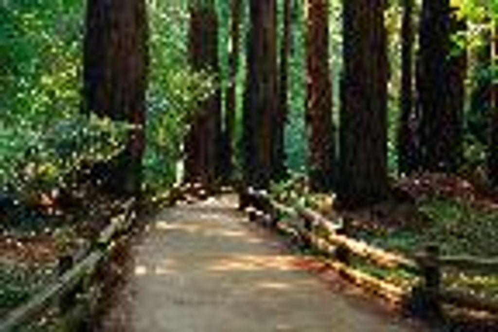 Edward "Danny" Jester