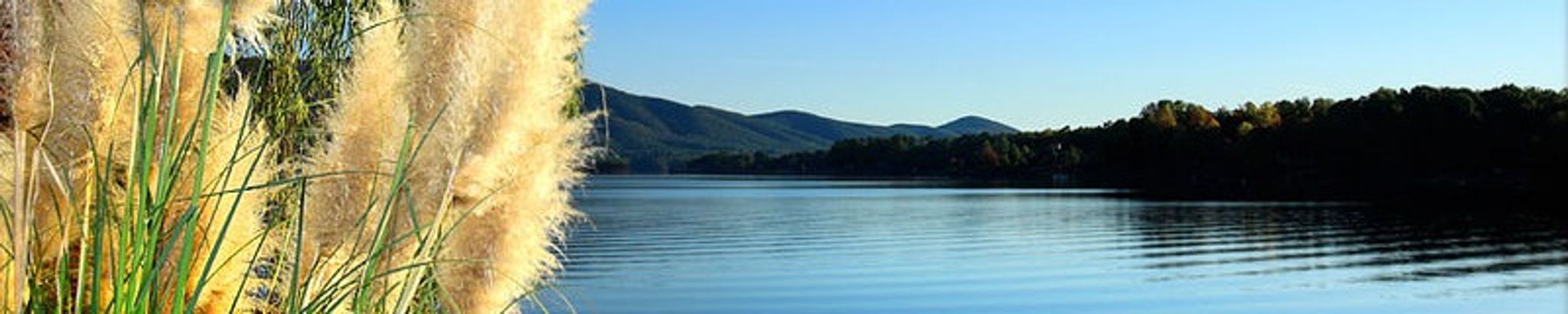 Cover photo for Betty N. Wade's Obituary