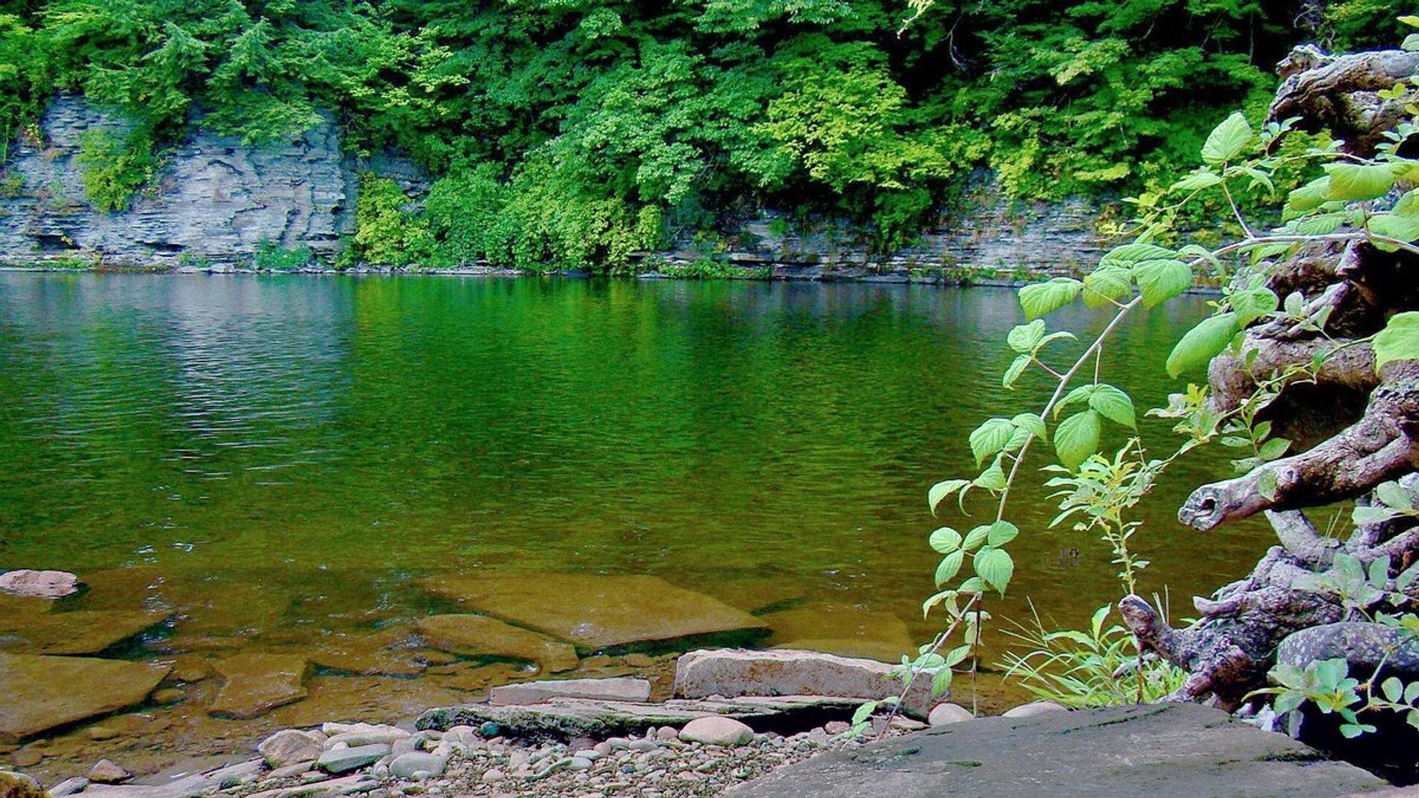 Cover for Terry L. Bird's Obituary