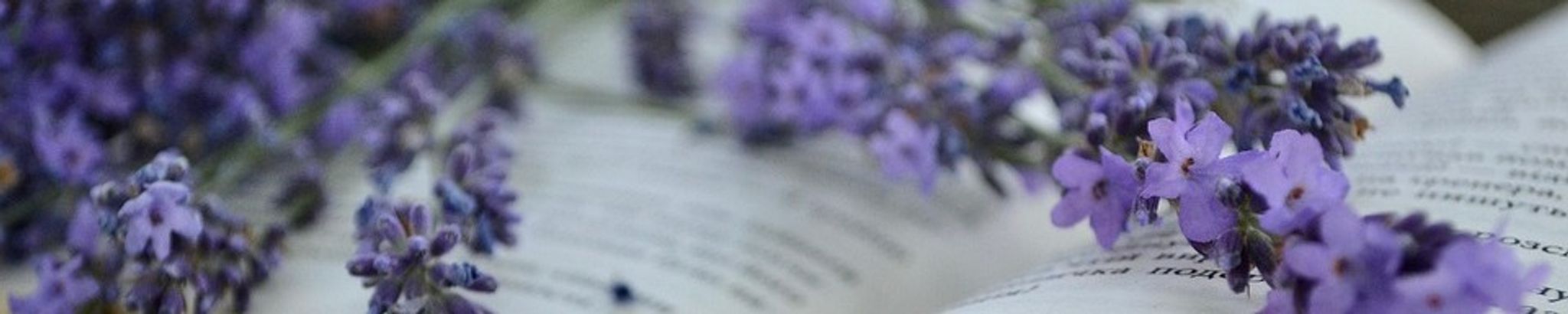 Cover for Mary Kay Olson's Obituary