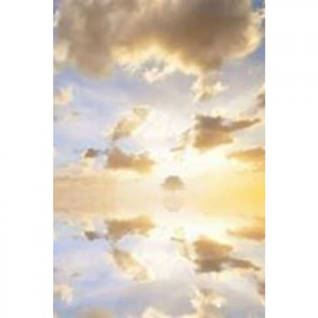 Andrew James Saks Profile Photo