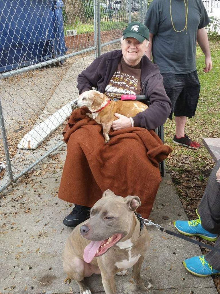 Daniel Lee Mattison Profile Photo