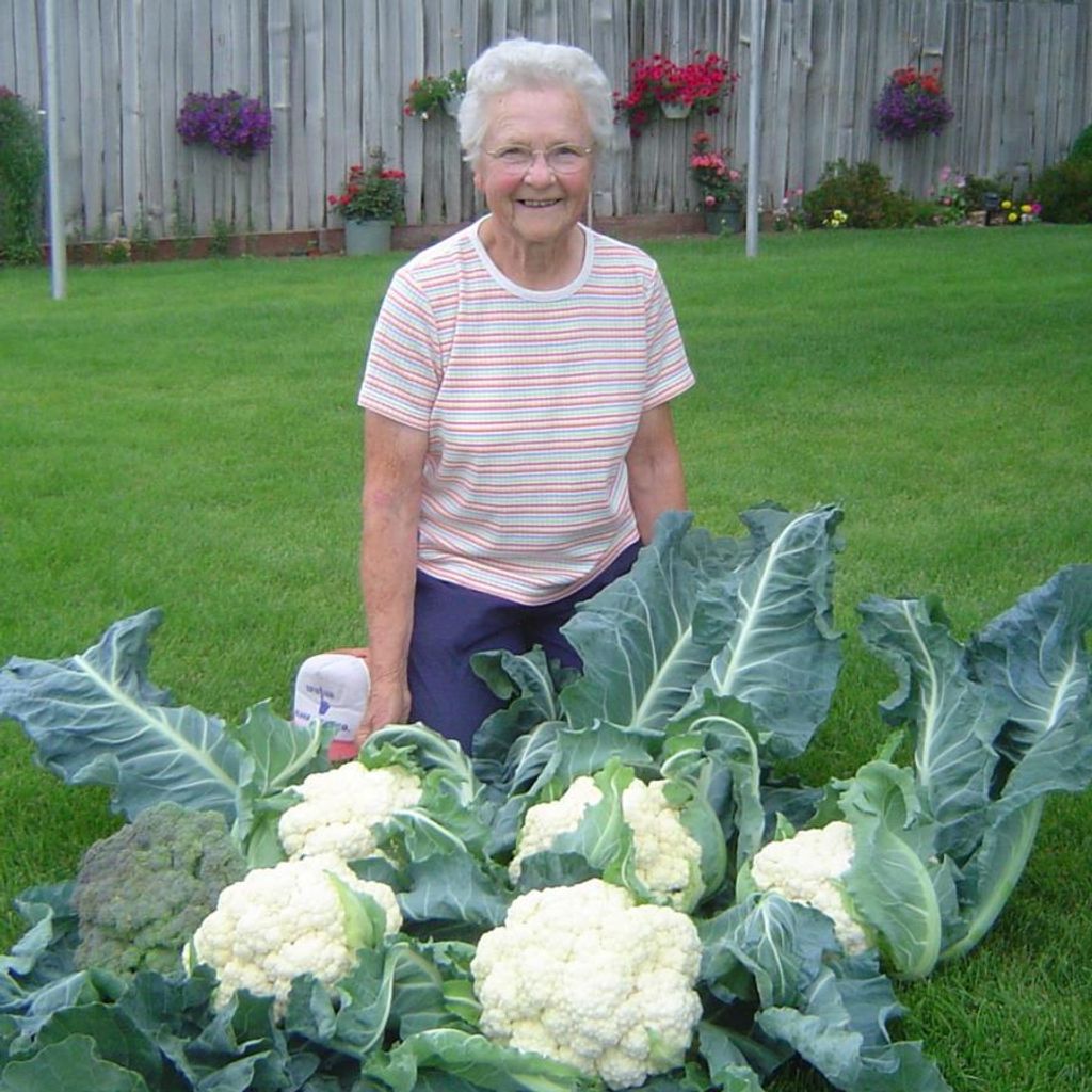 Ella Humann