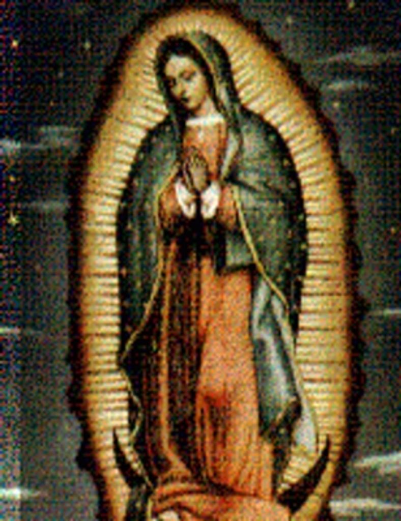 Maria Nieves Miranda Zamora