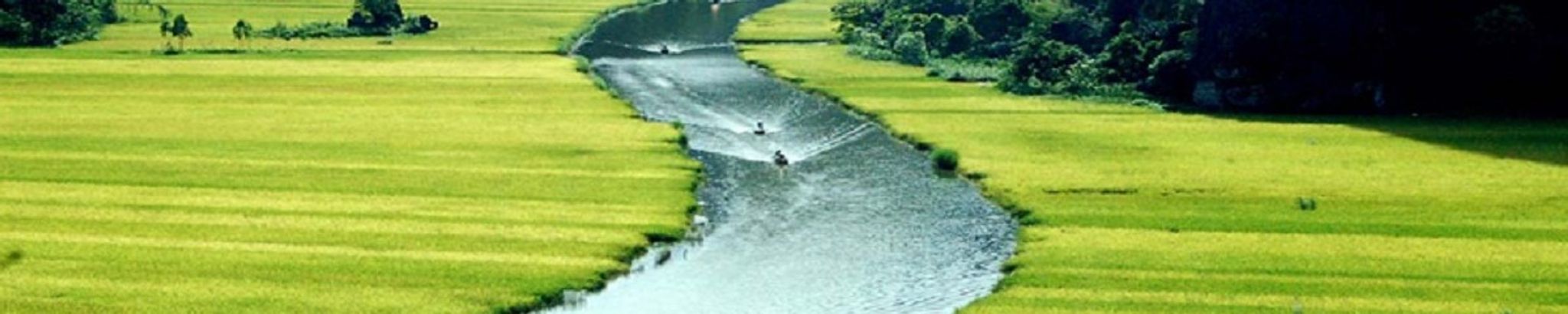 Cover for Canh Thien Mai's Obituary