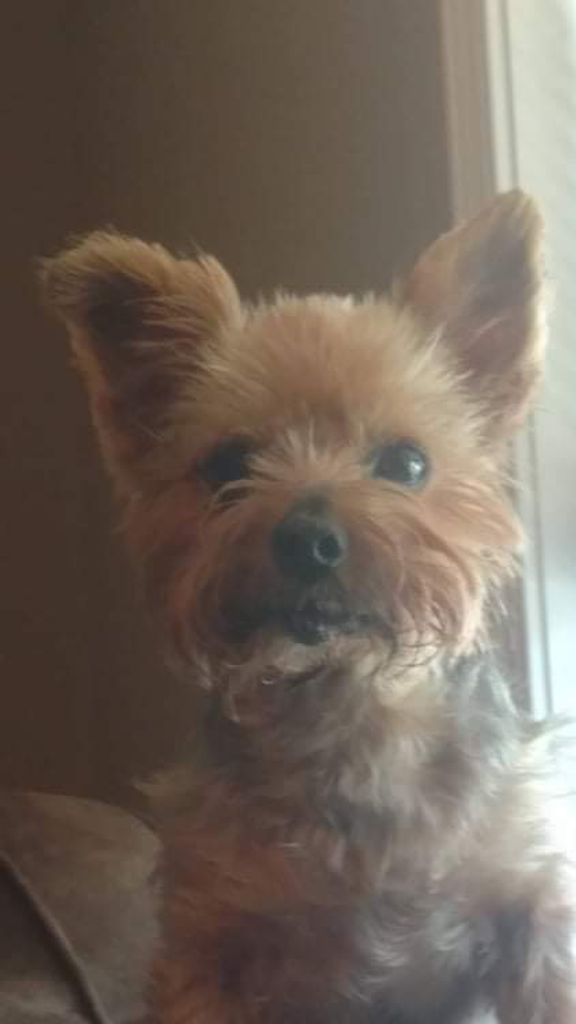 Willie Profile Photo