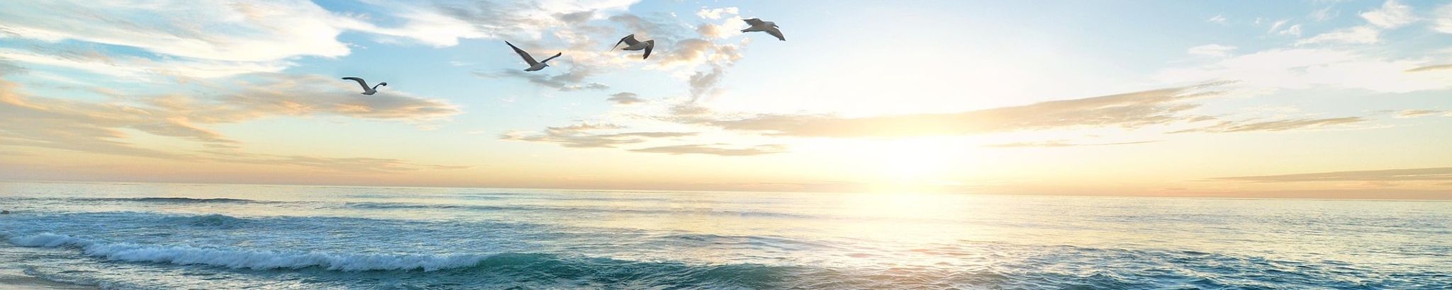 Cover for Terry Lee Banning's Obituary