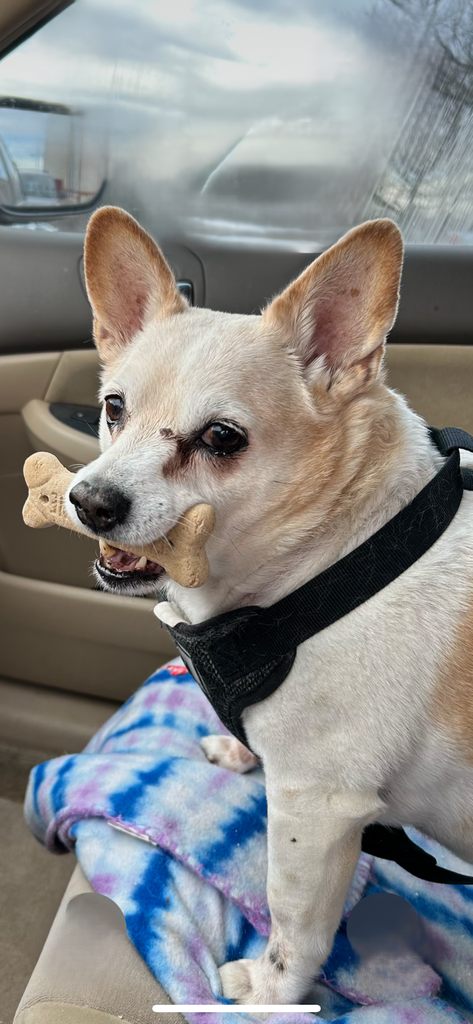 Bitty Boo Profile Photo