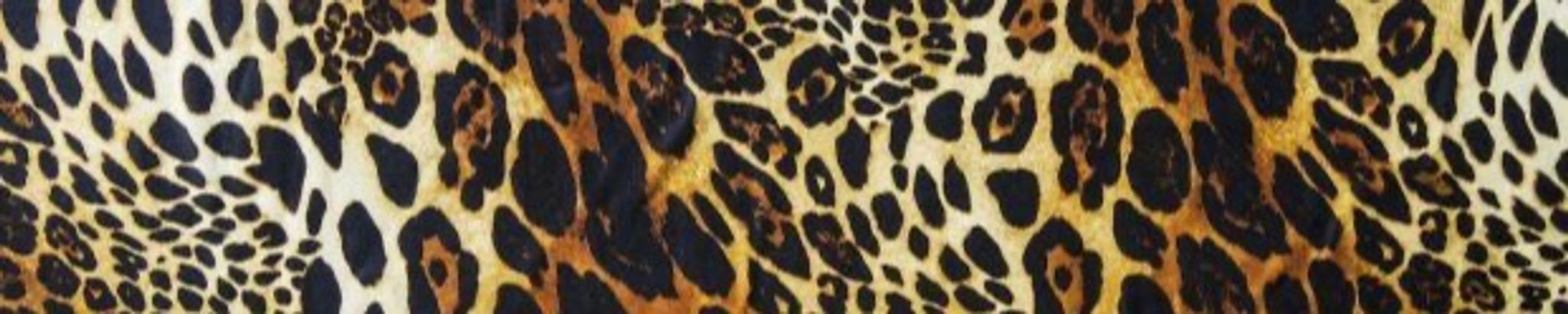 Cover photo for Audrey Fish's Obituary