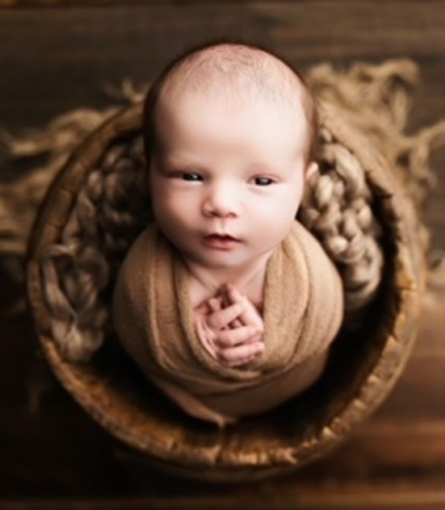 Grayson Day Profile Photo