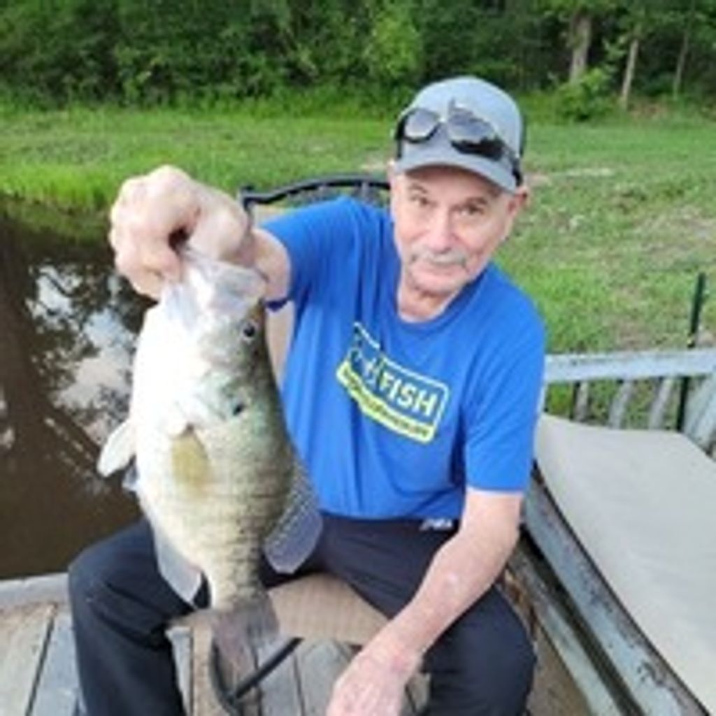 David Paul Laird Profile Photo