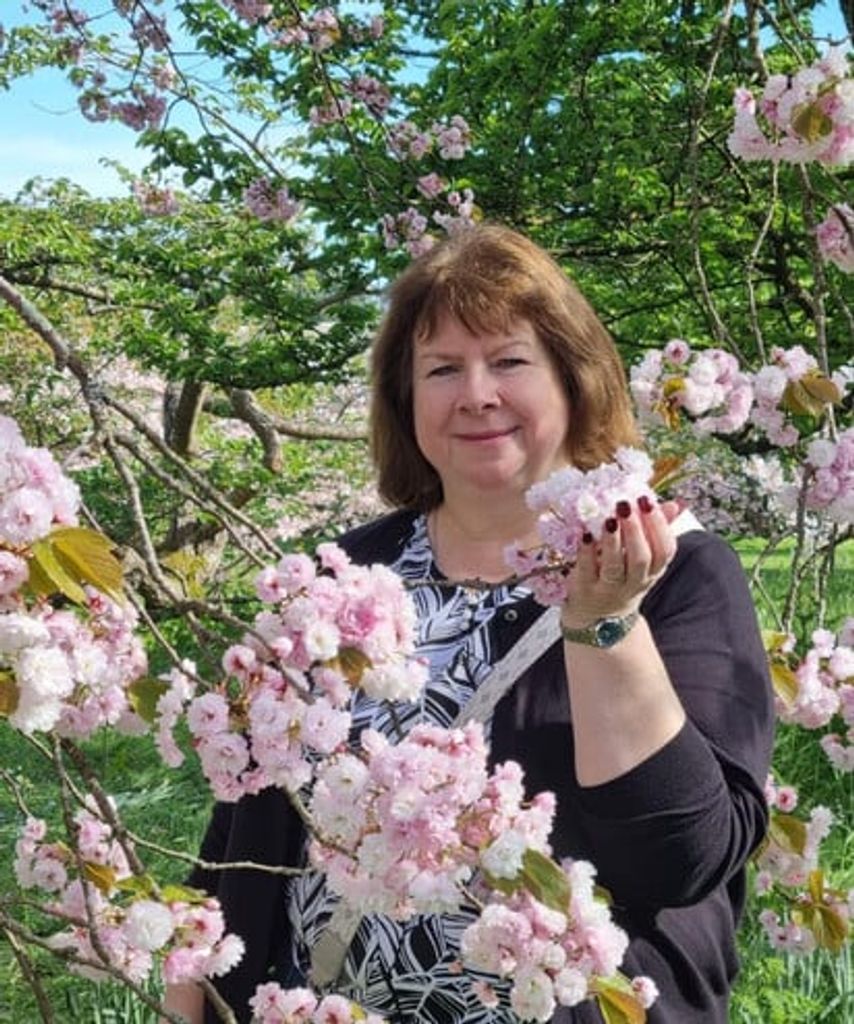Paula Susan Catello Profile Photo
