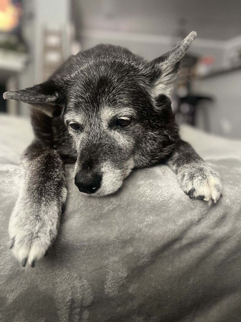 Grace Profile Photo