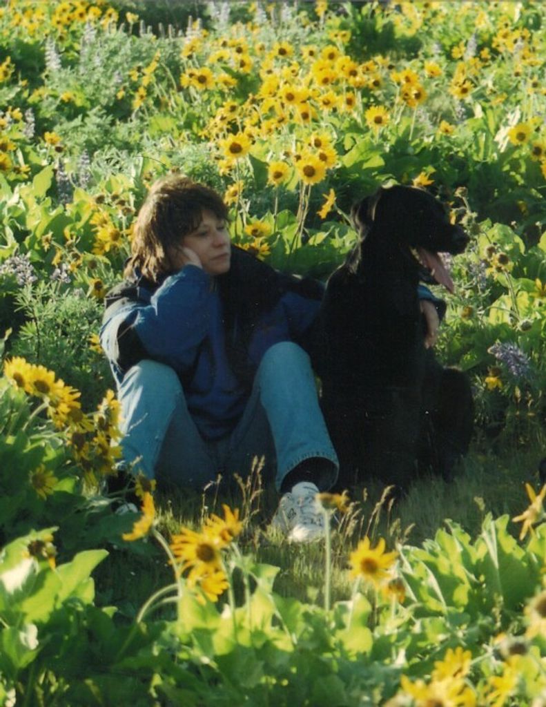 Jerilee Drynan Profile Photo