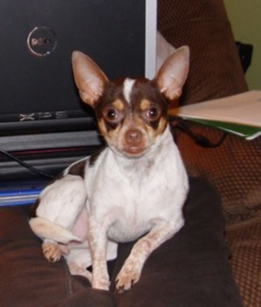 Daisy Hatchett Profile Photo