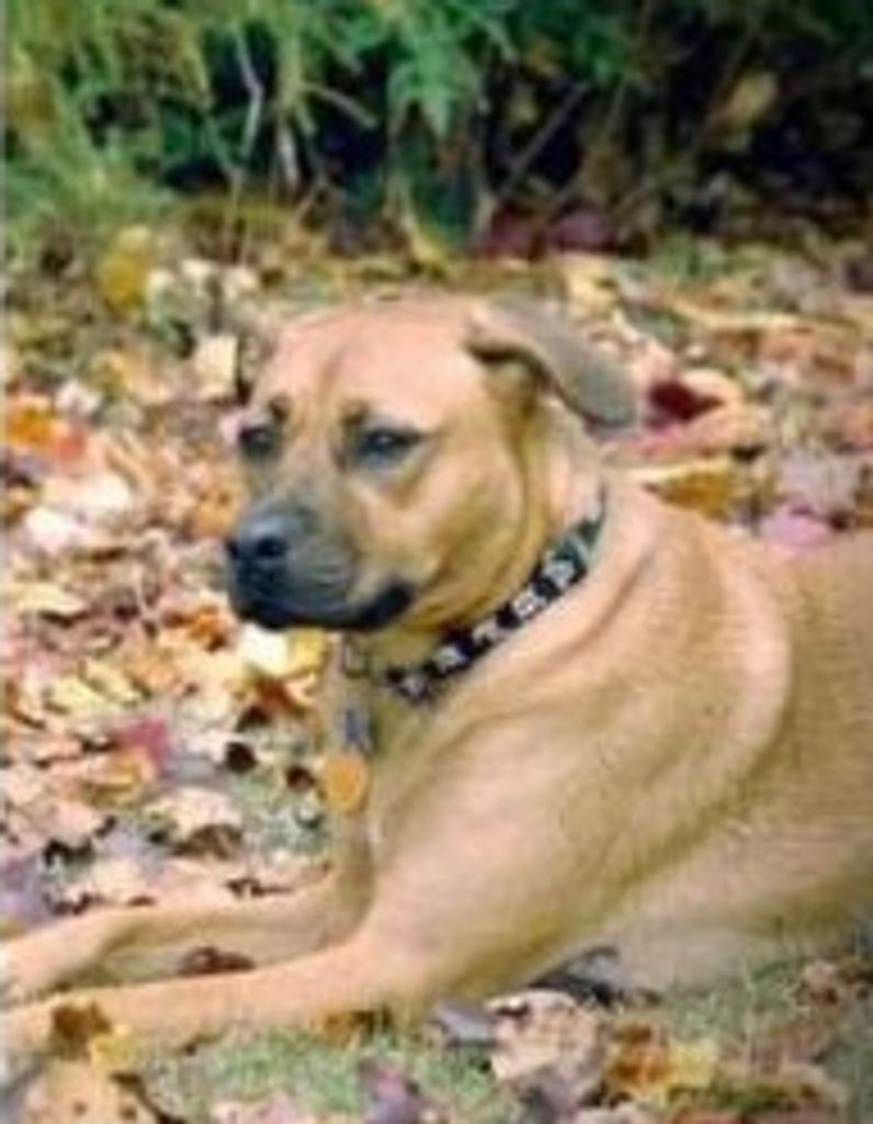 Matilda Chevy Dees-Young Profile Photo