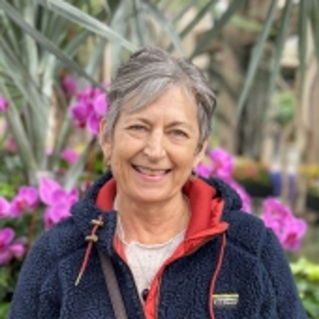 Lisa A. Boligitz