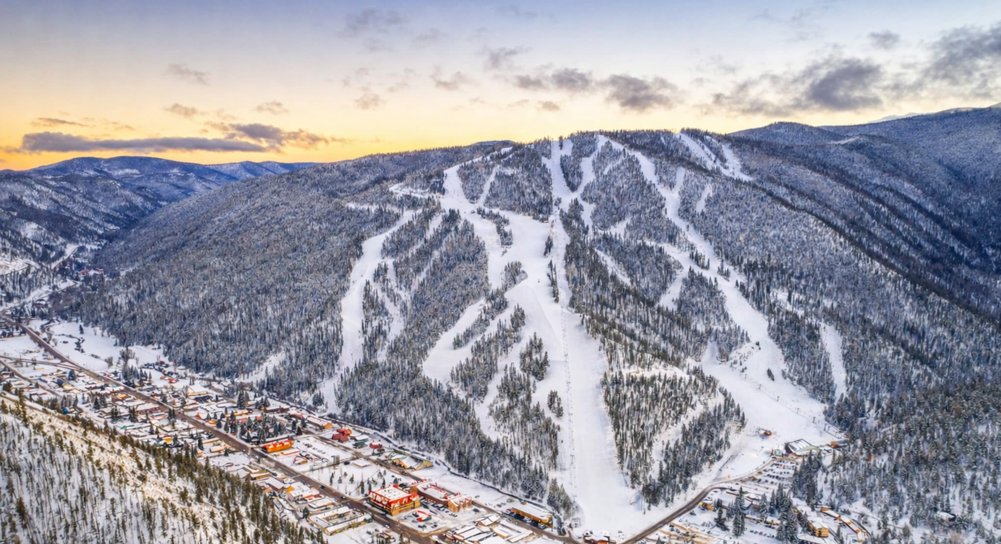 Cover for Sigi Klein's Obituary