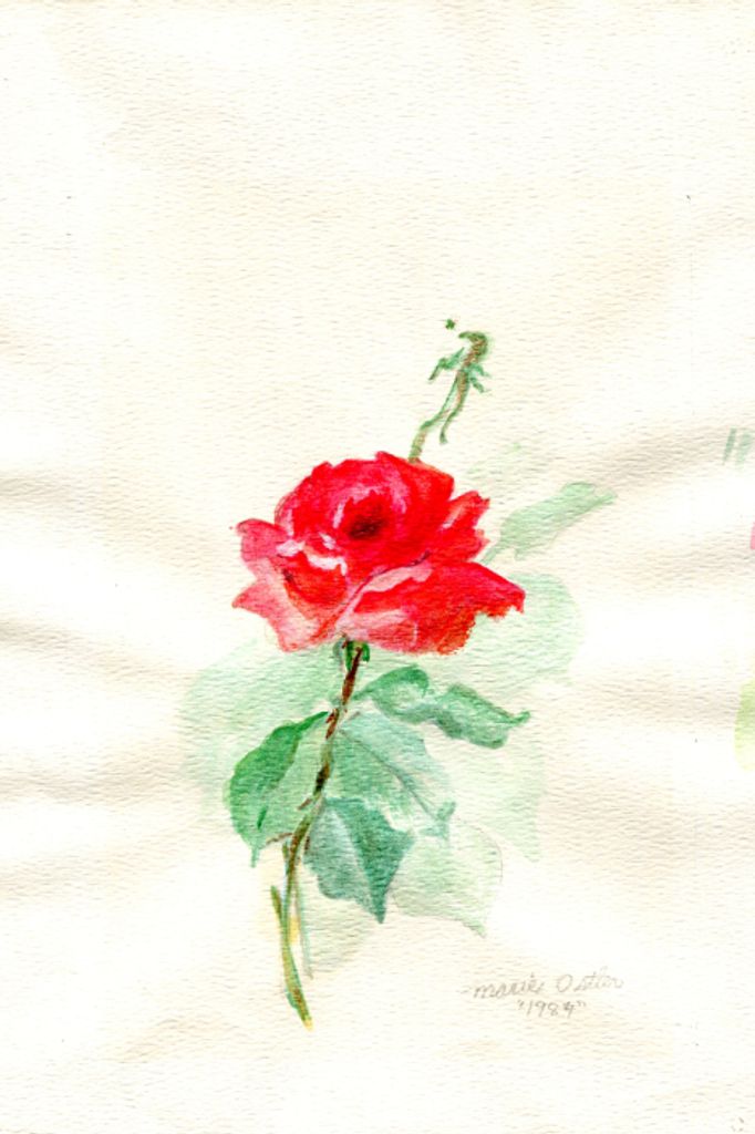 Marie (Hardy)  Schneider