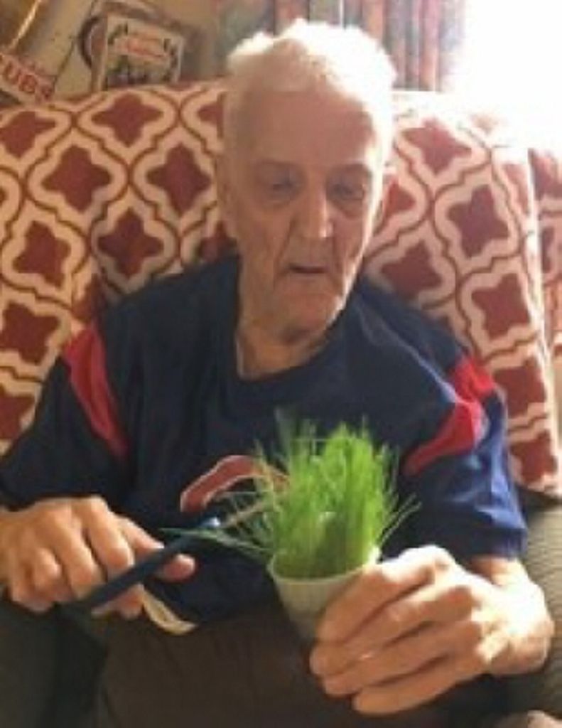 Ronald P. Brolin Profile Photo