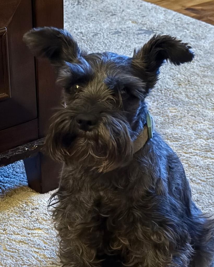 Dakota 🖤 Profile Photo