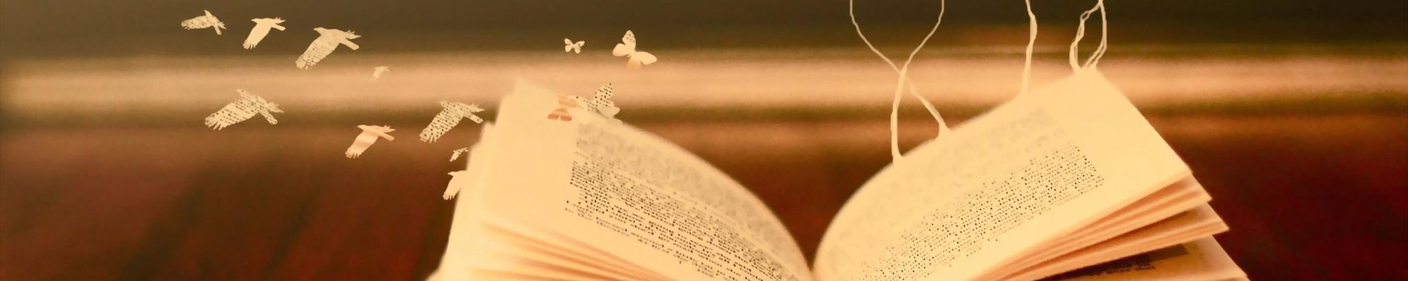 Cover for Angela L. Brokaw's Obituary