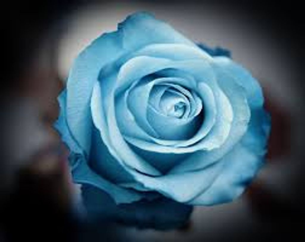 Addie L. Green Profile Photo