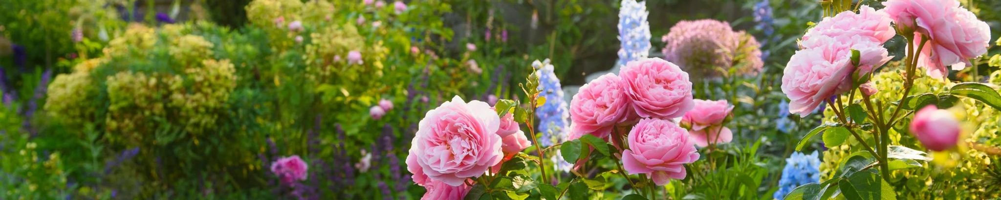 Cover for Helen C. Ramsey's Obituary