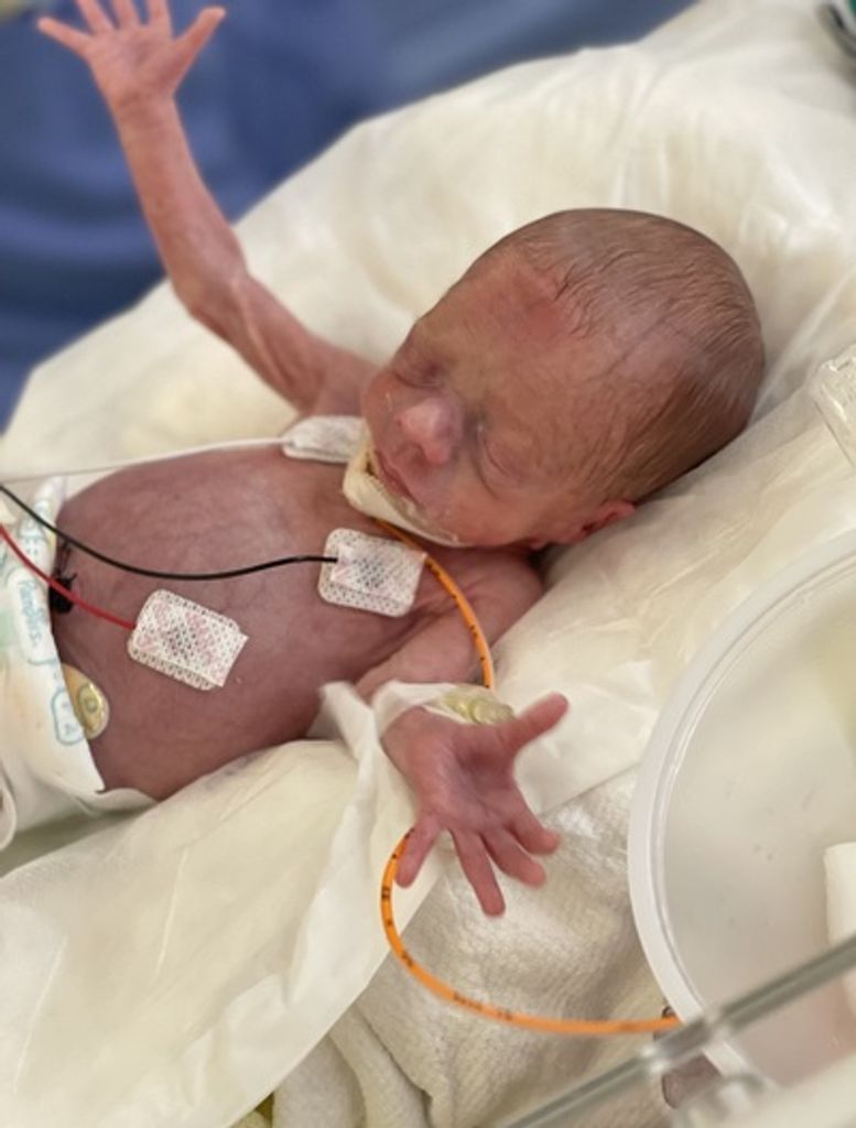 Adalyn Louise Meadows Profile Photo