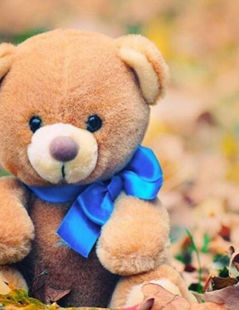 Jason D. Roe, Iii Profile Photo