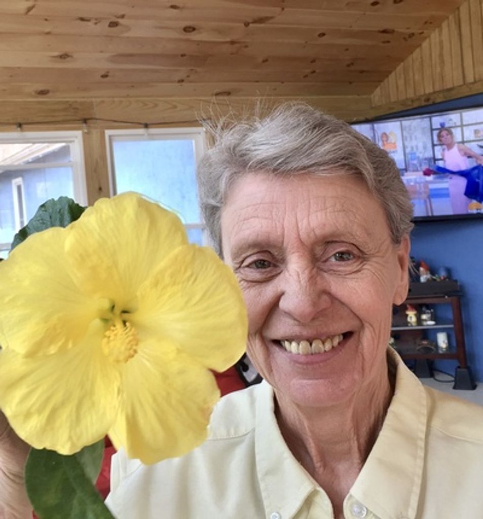 Paulette “Polly” Medwid Profile Photo